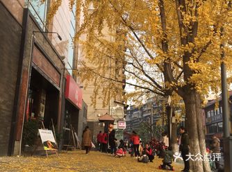 二环边上的一个还算有名的酒店，门口有几棵银杏树