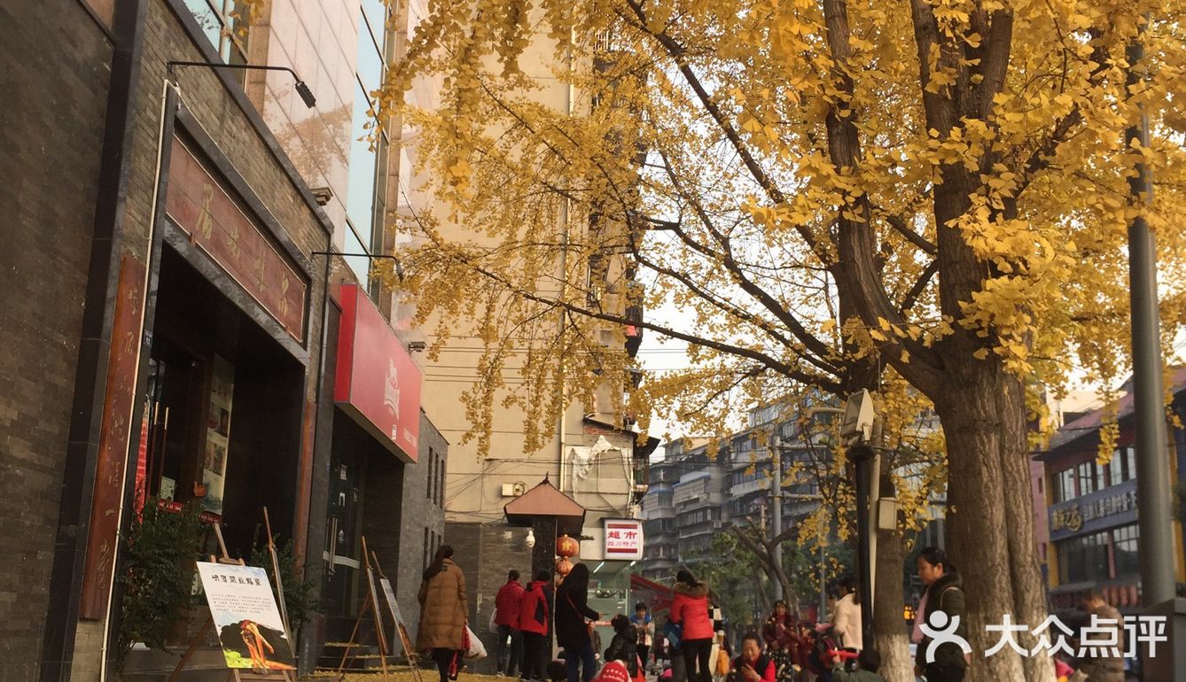 二环边上的一个还算有名的酒店，门口有几棵银杏树