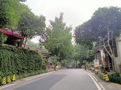 -龙井村