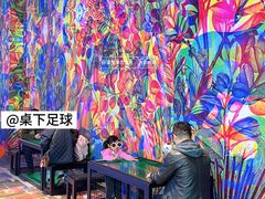-枫蓝国际购物中心