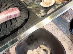 -海抱猪