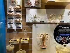 -青岛海底世界-水族馆