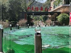 -天怡·鱼工厂(梅溪湖店)