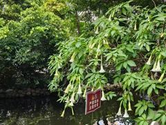 -成都市活水公园