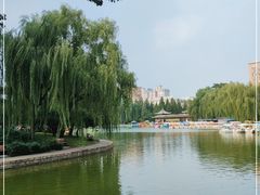 -团结湖公园