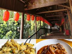 -鲤鱼塘农家山庄