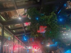 -海岛八号龙虾烧烤田鸡(蓝天路总店)