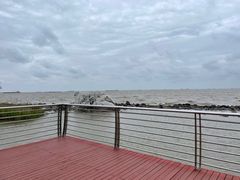 -上海吴淞炮台湾国家湿地公园