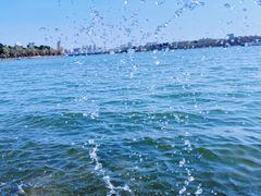 -长春市南湖公园