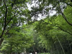 -黄公望隐居地