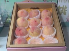 -老袁家蜜桃农场·阳山水蜜桃