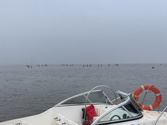 -东戴河风景区