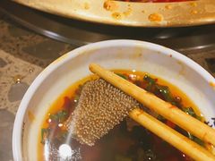 -小龙坎火锅(春熙太古里店)