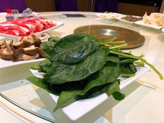 -蒙星月涮肚火锅城(宏运家园店)