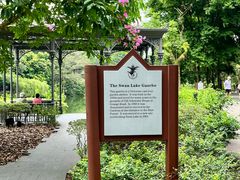 -新加坡植物园