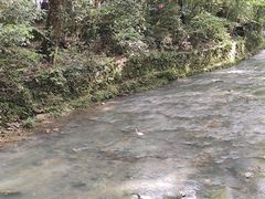 -聚缘坊特色名小吃(天元西街店)