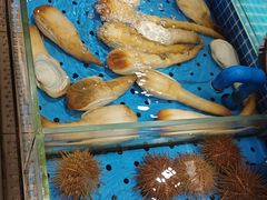 -鲜得莱渔港·小平岛海胆馆(七贤岭店)
