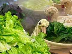 -汉江山料理级自助烤肉黑金冠(周口好吃城店)