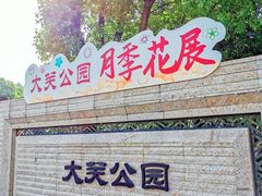 -大关公园