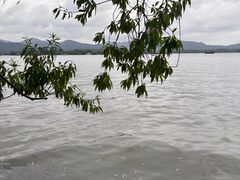 -西湖游船
