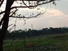 -瑶湖郊野森林公园