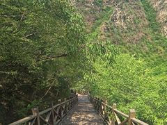 -野三坡百里峡景区