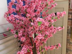 -梅园婚恋·婚姻介绍