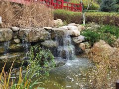 -大连植物园
