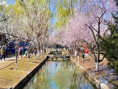 -三里河公园