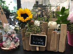 -植物学家的女儿(北马道巷店)