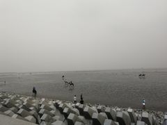 -碧海金沙