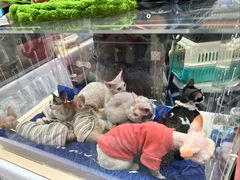 -上海长风大悦城