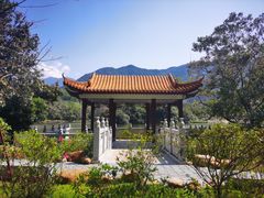 -深圳仙湖植物园