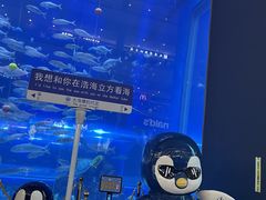 -成都浩海立方海洋公园