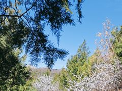 -居庸关长城