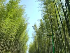 -漫山居私汤民宿全竹宴
