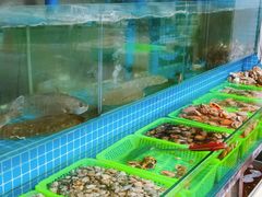 -富临港·蒸汽海鲜·手抓海鲜·炒菜(栈桥店)