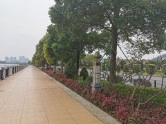 -顺峰山公园