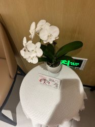 -广东韩妃整形外科医院