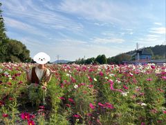 -大连铭湖国际观光牧场