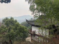 -韬光茶庵