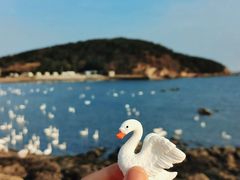 -烟墩角天鹅湖