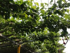 -钰田大院·碳烤虹鳟鱼·怀柔地道农家菜(雁栖湖店)