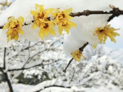 -江南大学(蠡湖校区)