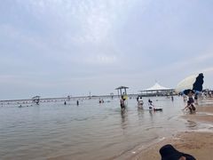-碧海金沙
