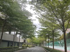 -深圳大学(丽湖校区)