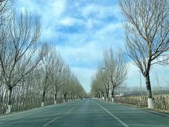 -东北亚滑雪场