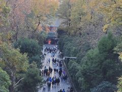 -灵谷景区