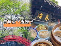 -富春茶社(国庆路店)