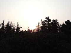 -四川大学(华西校区)